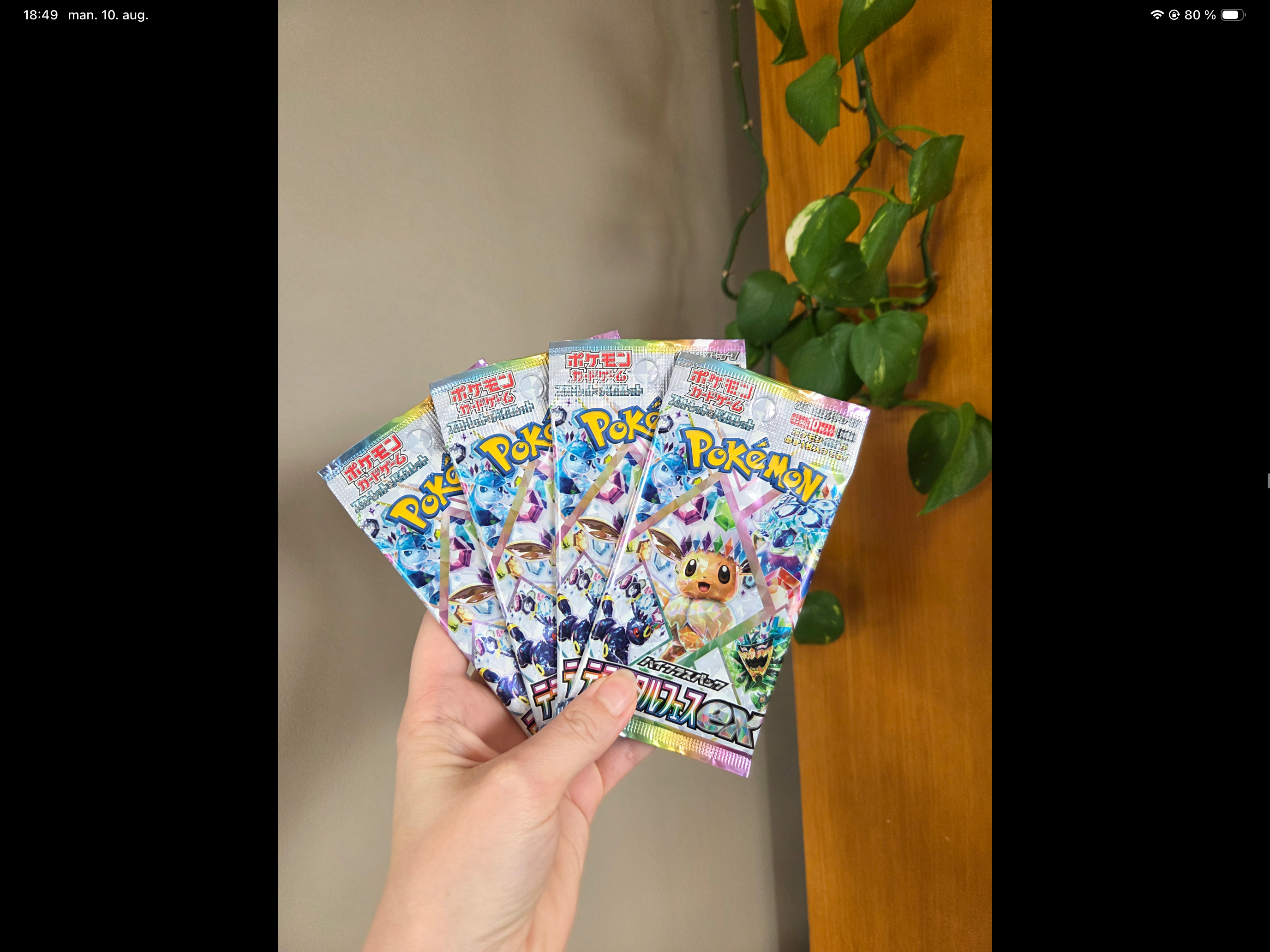 Terestial Festival booster pack